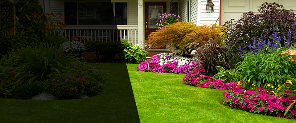 San Mateo Landscapers